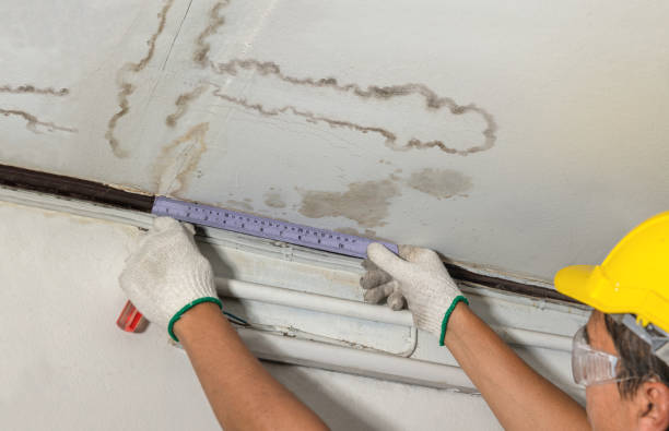 Reliable Mold Remediation contractor in Atoka, OK by Water Damage Irwin